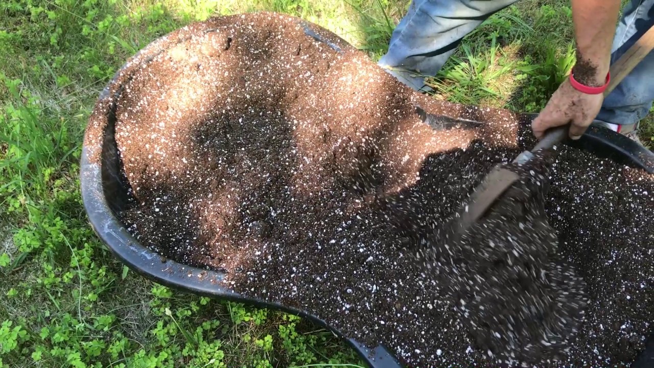 Outdoor Grow 2017 -  Episode 1