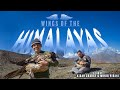 Wings of the himalayas  trailer