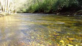 Gently flowing mountain river ambience with relaxing creek sounds. River nature sounds radio! 3 Hrs.