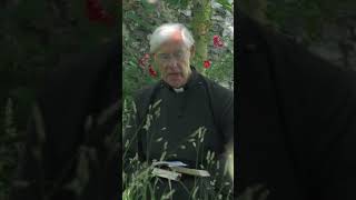 Minute Meditation for Midsummer: A Nibble from Morning Prayer 25th June '20 @gardencongregation