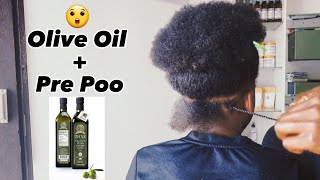 😲Olive Oil Pre Poo+ full wash day Routine the results are so shocking.