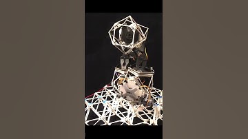 Self Replicating Robot Builder!