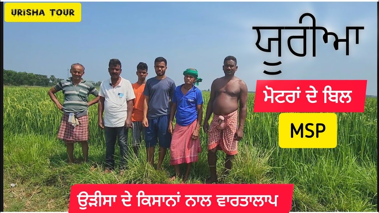 ਉੜੀਸਾ ਚ ਕਿਸਾਨ ਇਕ ਗੱਟੇ ਯੂਰੀਆ ਨਾਲ ਝੋਨਾ ਪਾਲ ਦਿੰਦੇ ਹਨ