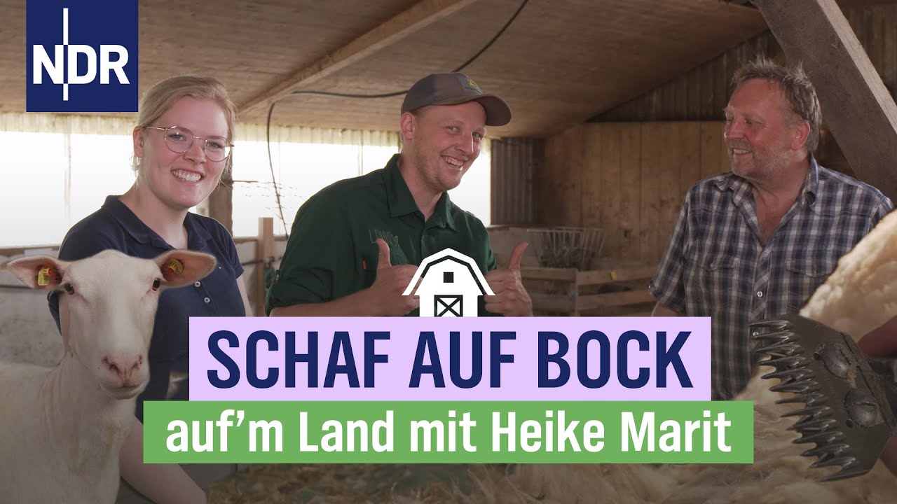 Premiere für Heike Marit: schon mal dem Schaf die Wolle geschoren? | Folge 10 | NDR auf‘m Land