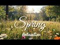 Spring Serenity - Relaxing Music for Peaceful Moments - Instrumental music 🌸