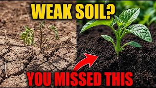 If Your Soil Is Weak — This Changes Everything