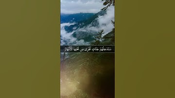 سورة النساء | الآية ١٢٢ | الشيخ ياسر الدوسري | #القرآن_الكريم #قرآن_كريم 28/8/1442