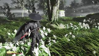 Ghost Of Tsushima Slimhorse