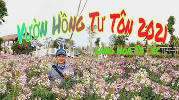 Vườn Hồng Tư Tôn /#TuấnLaiVung