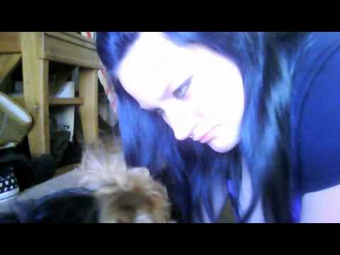 My dog licks eyeballs