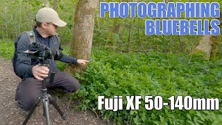 Photographing Bluebells with a Telephoto Lens - Fuji XF 50-140mm Close-up Landscape Photography