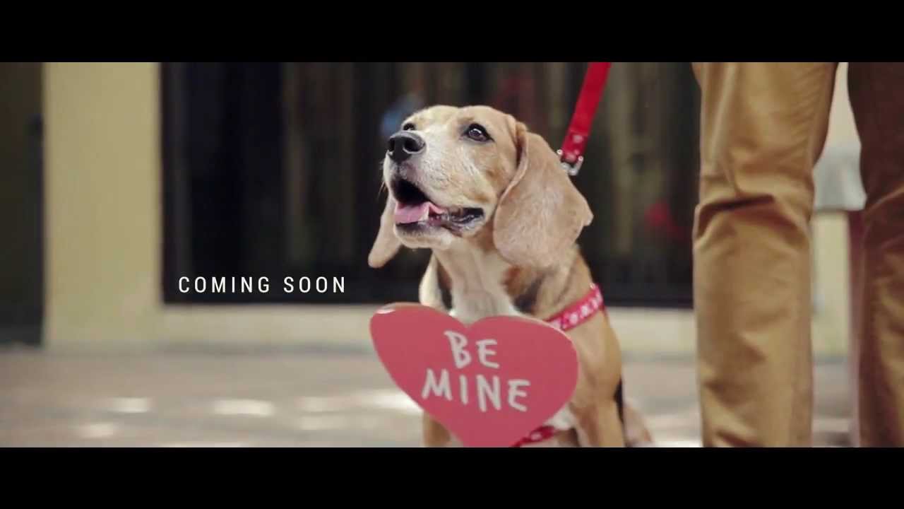 OLX Philippines: Find Out Who Daniel Loves