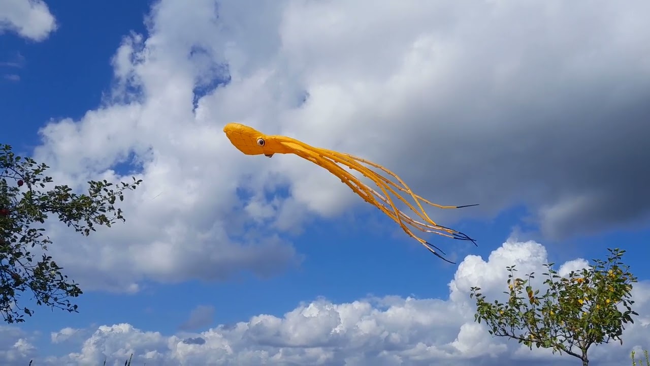 Flying Octopus