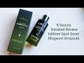 K-beauty / Soothing and Hydrating / IsNtree Mugwort Ampoule / my recommendations [JuliaM]