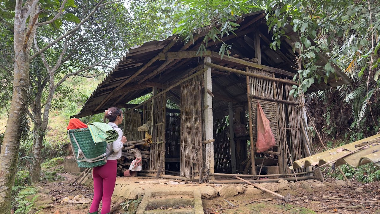 The girl accidentally wandered into an abandoned house, cleaned it up and revived