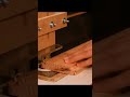 My DIY circle cutter.#woodworking #shorts