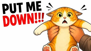 The Real Reason Your Cat Hates Being Picked Up