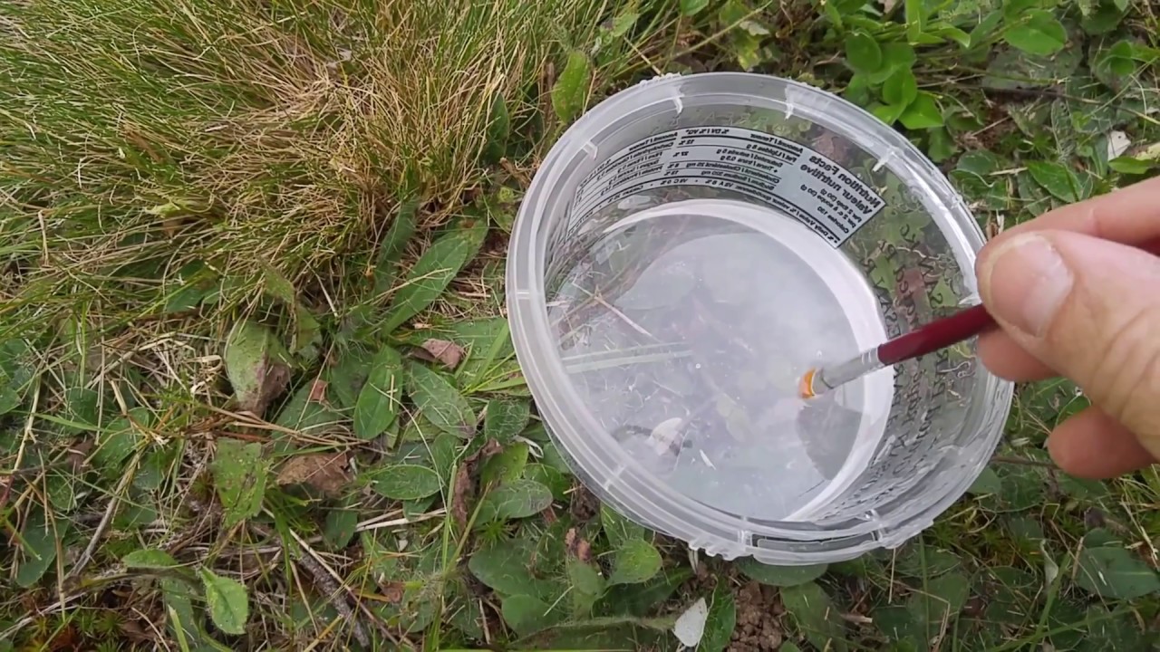 テントやタープのシーリング 目止め 目止め処理 シームシーラー シームグリップ 目止め剤の塗り方 ミニマムキャンプ Minimum Camp