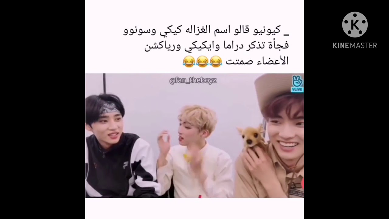 جولة انستقرامية مع ذابويز💓/مفاجئة كيو😂/تعلم الانجليزية مع سونوو😉/احمو تشانهي من سونوو🙂والمزيد...