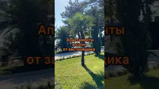 Апартаменты в Сочи от застройщика #недвижимостьнаюге #сочи #апартаменты