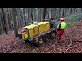 Wunderwerk Wald - Ein Jahr im Forstrevier