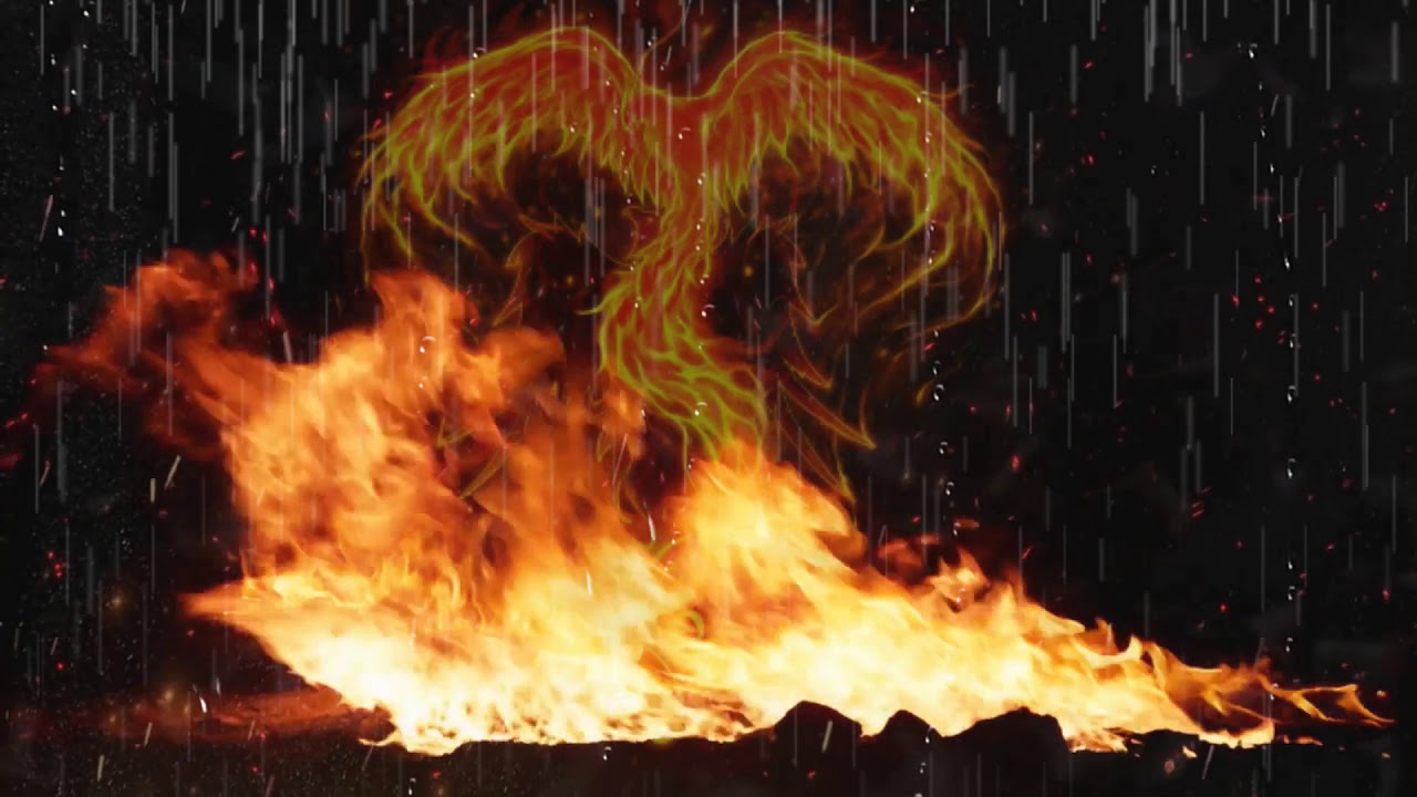 That. is a Phoenix Reborn. - YouTube