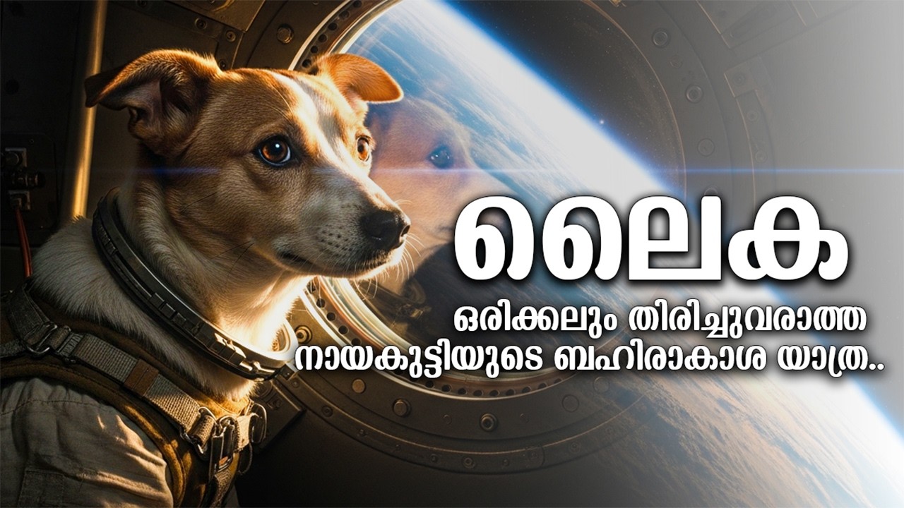 ലൈക:ആദ്യമായി ബഹിരാകാശത്തെത്തിയ നായകുട്ടിയുടെ വേദനിപ്പിക്കുന്ന കഥ |Full Origin Story of Laika the dog
