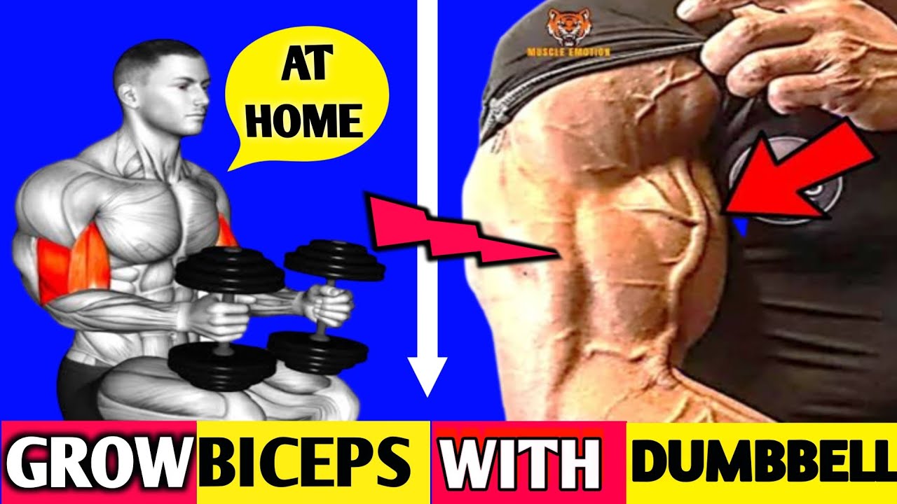 BICEPS WORKOUT WITH DUMBBELL HOW TO GROW BIGGER BICEPS AT HOME IN