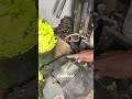 How Plastic Butterfly Toys Are Made
