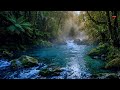 Feel Safe & Grounded Again - Soft Stream for Trauma & Tension Relief