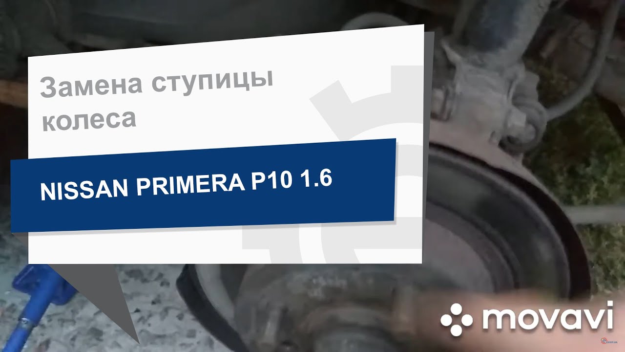 Купити Asva NSWH-P10R за низькою ціною в Україні!