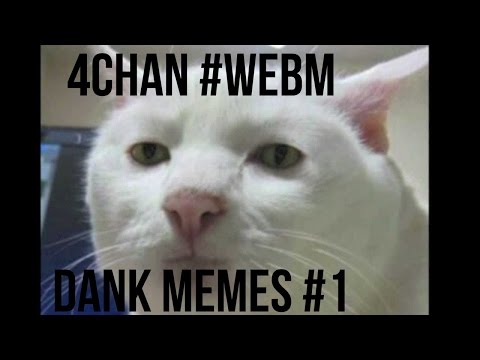 4chan WebM - DaNk MEMes - #1