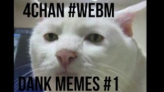 4Chan Webm - Dank Memes -