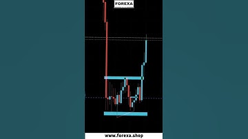 Maximize Your Trading Profits with the Ultimate Forex Scalping Robot   Unleashing Success!