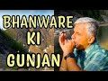 Bhanware ki gunjan  on harmonica