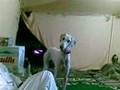 funny sloughi dog السلق العجيب の動画、YouTube動画。