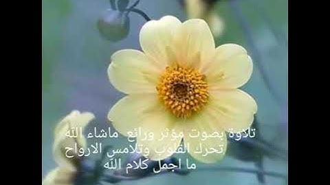 تلاوة مذهلة جدا بصوت رائع يلامس الارواح والقلوب ما اجمل كلام الله