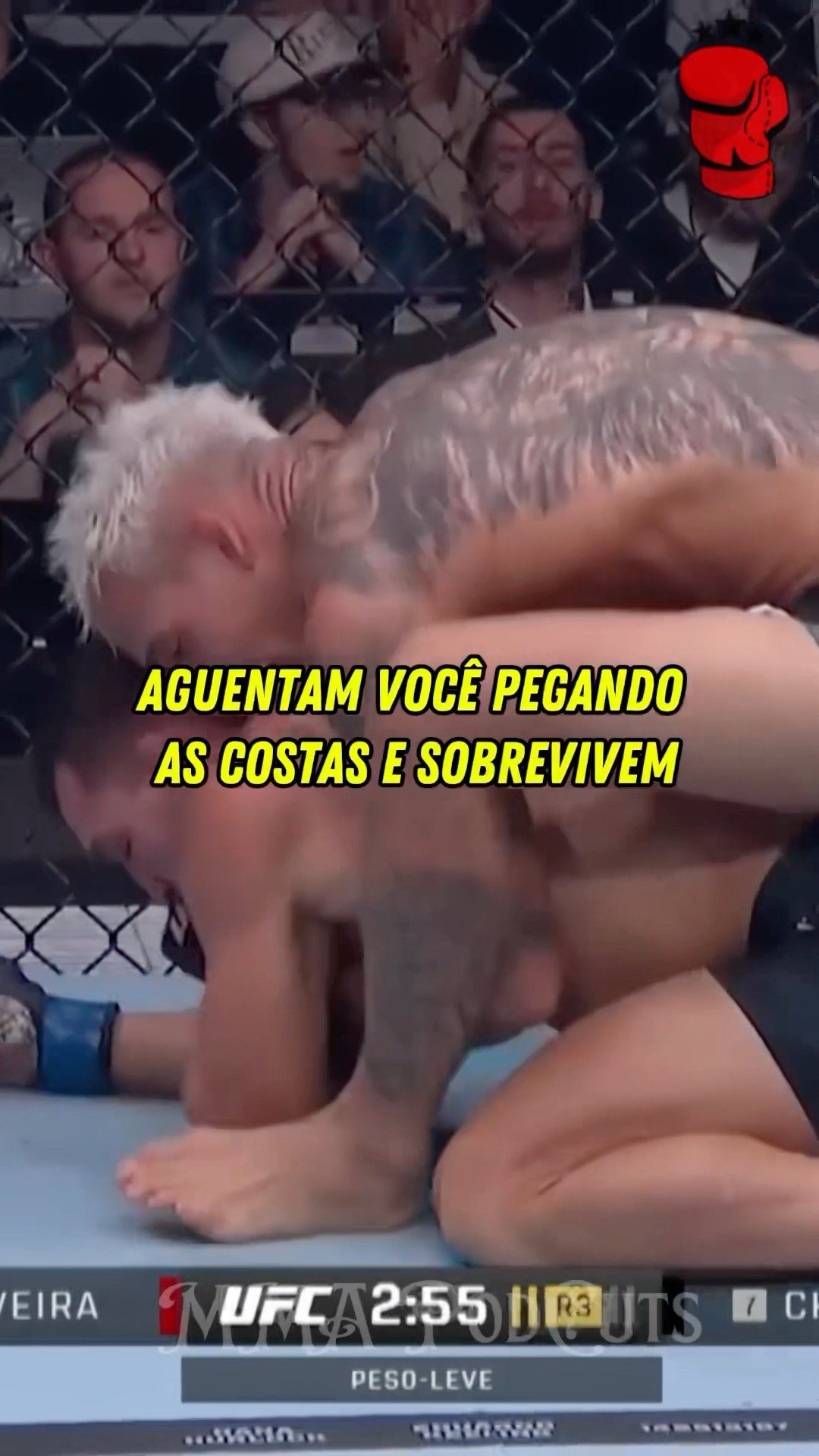 CHARLES OLIVEIRA X MICHAEL CHANDLER #mma #luta #boxe #ufc #foryou #shortsfeed #brasil