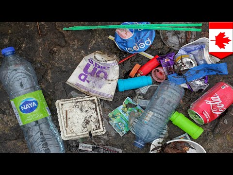 Video: Kanada Mengumumkan Pelan Untuk Mengharamkan Plastik Guna Tunggal Pada 2021
