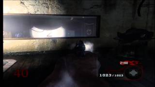 CoD 7 Zombies | Upgraded Weapon: CZ75