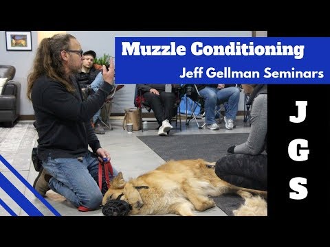 Muzzle Conditioning | Jeff Gellman Seminars