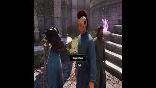 NPC Dialogue Has Truly Peaked