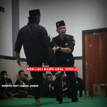 story wa PSHT // pesan KangMas Fajar sukmono TK2 Cab. Jember