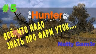 : theHunter classic //   (       ) #5