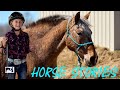 Horse Stories - Docaho - E1