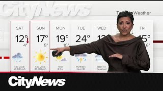 Cool and windy start to last weekend of April