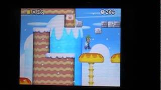 Lets Play New Super Mario Bros Ds Walkthrough  Part 5