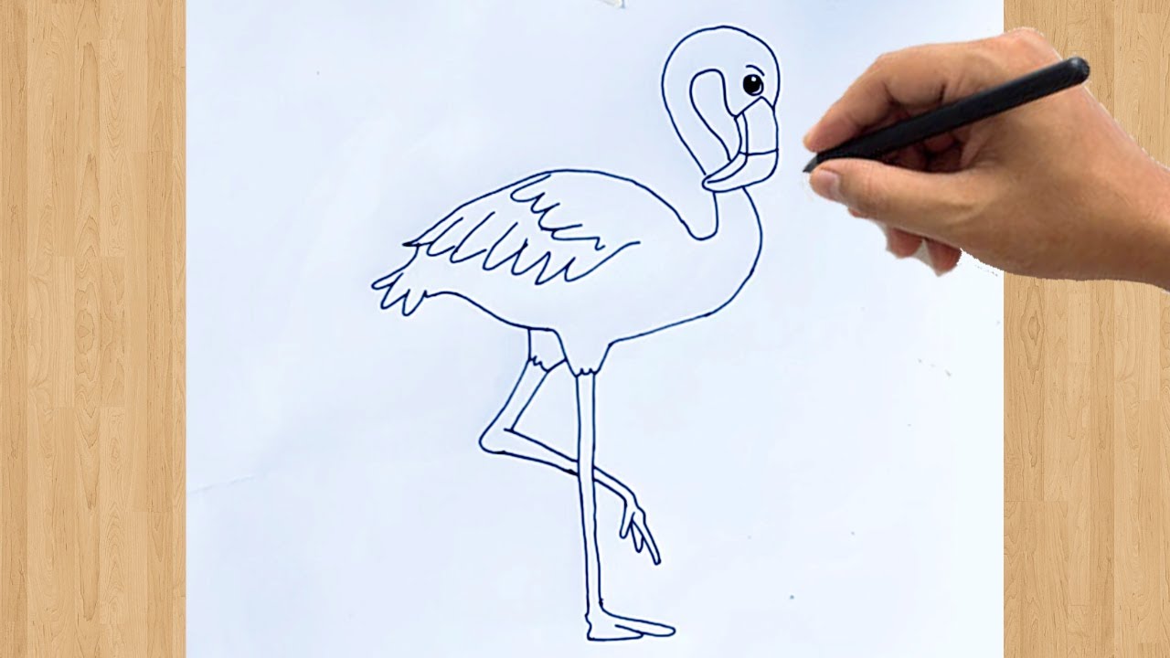 How to Draw a Flamingo Drawing | Easy Flamingo Outline Sketch Step ...