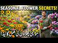 Seasonal Flowers Cultivation Guide 2026
