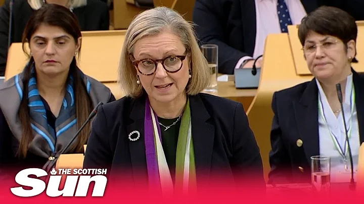 Rachel Hamilton condemned Gender Bill - 'ignorant ...
